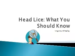 Head Lice: What You Should Know