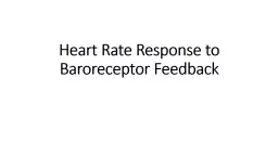 Heart Rate Response to  Baroreceptor Feedback