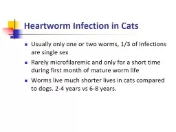 Heartworm Infection in  Cats