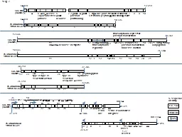 5    rrgA-like pilus-associated adhesin