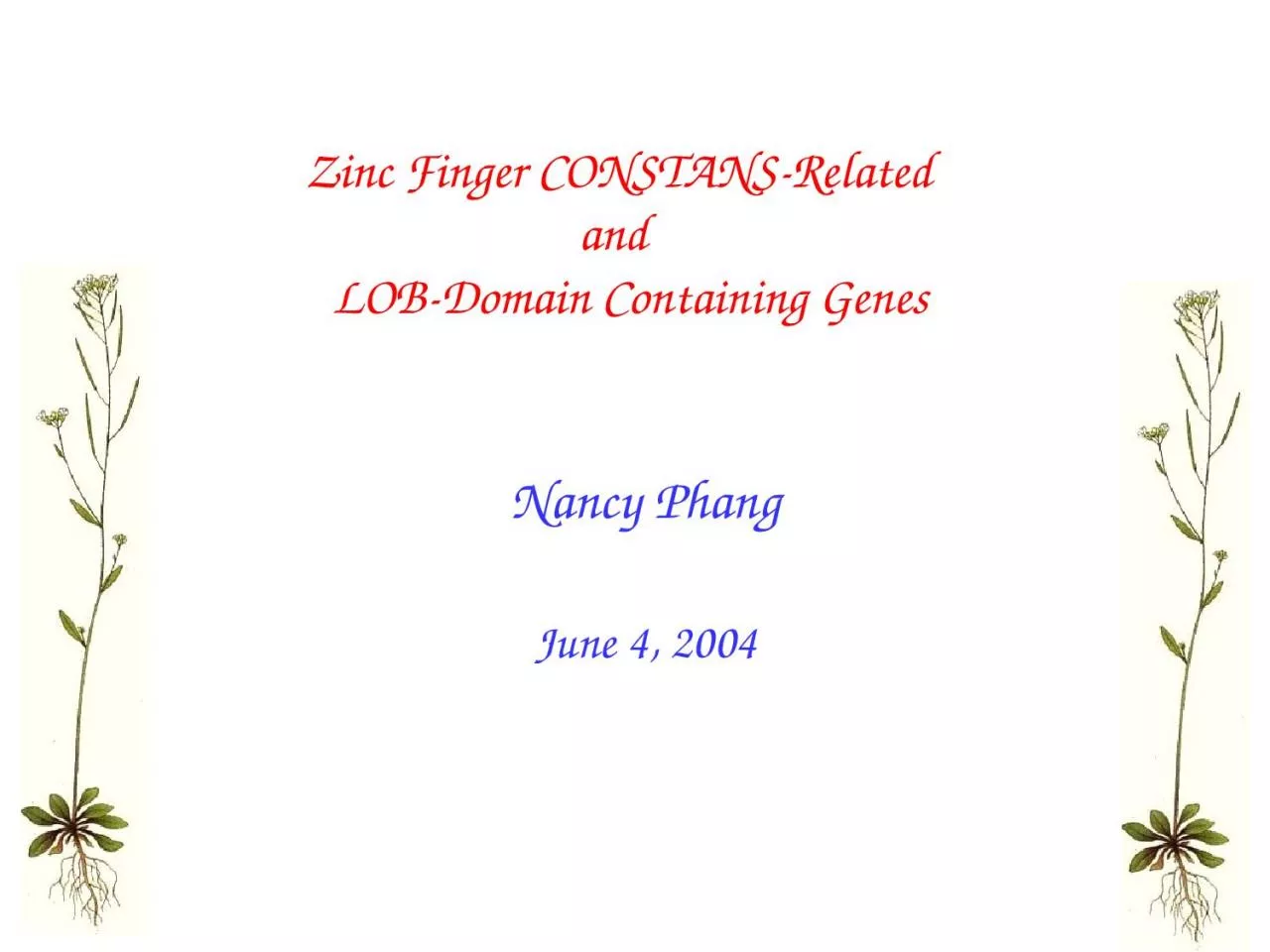 Zinc Finger CONSTANS-Related