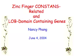 Zinc Finger CONSTANS-Related