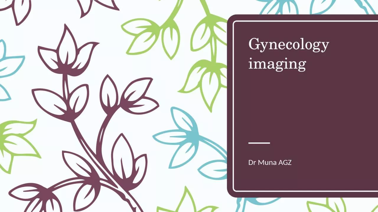 PPT-Gynecology imaging Dr