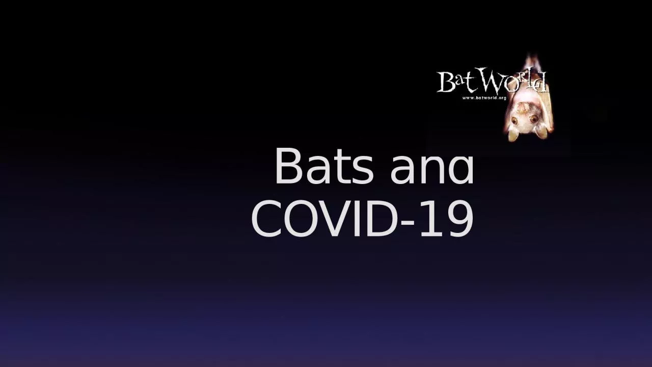 PPT-Bats and COVID-19 Separating Fact From Fiction