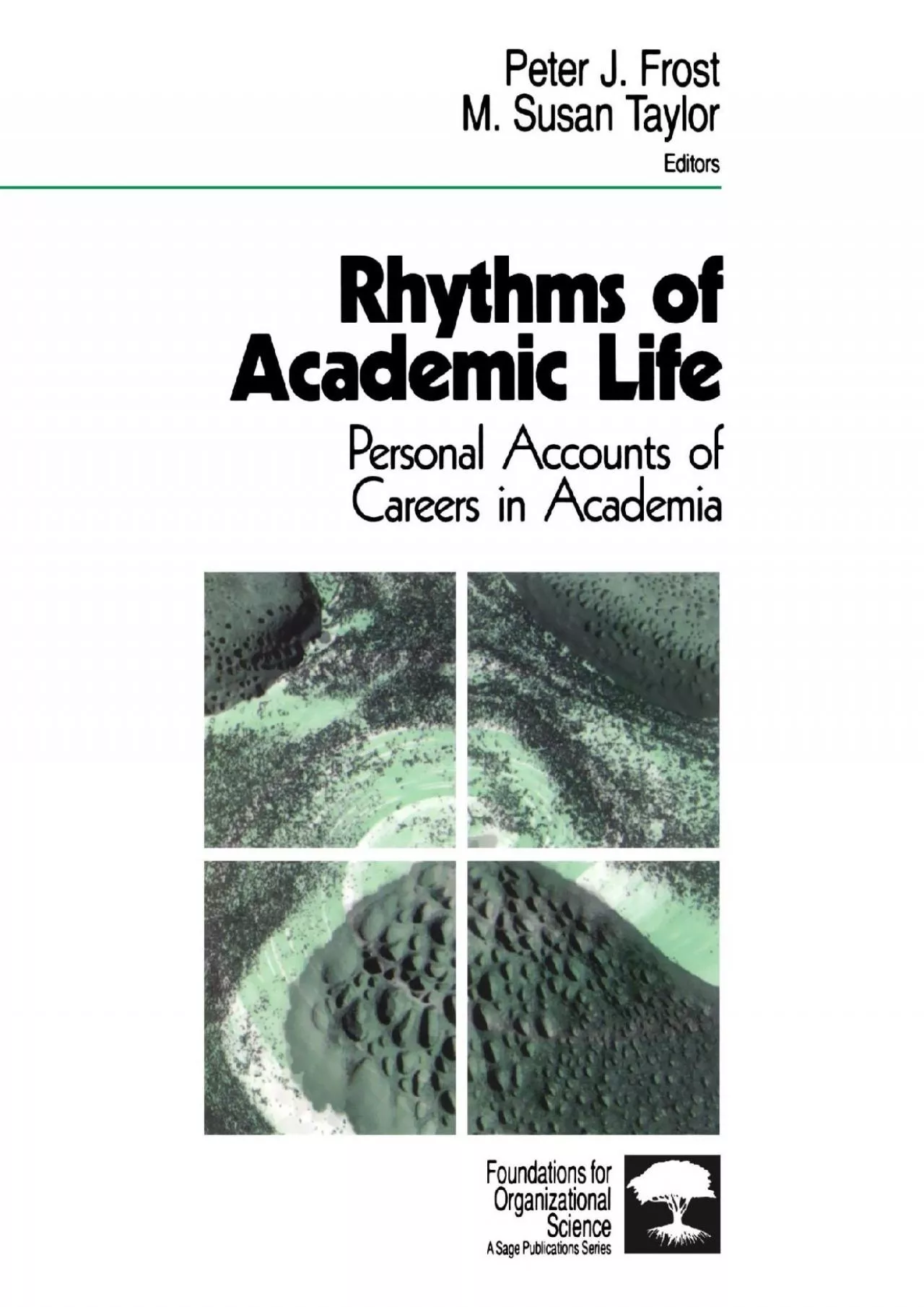 (BOOK)-Rhythms of Academic Life: Personal Accounts of Careers in Academia (Foundations