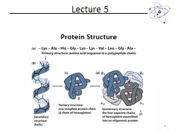 Protein Structure  Lecture 5