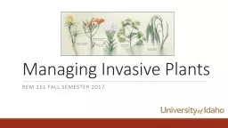 Managing Invasive Plants