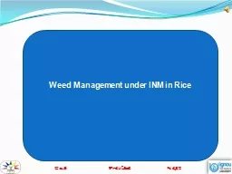 Weed Management under INM in Rice