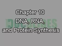 Chapter 10 DNA, RNA, and Protein Synthesis