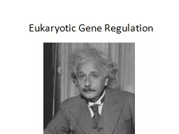 Eukaryotic Gene Regulation