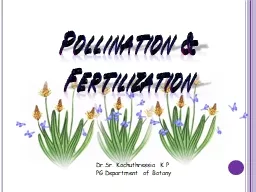 Pollination & Fertilization