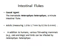 Intestinal  Flukes Causal Agent: