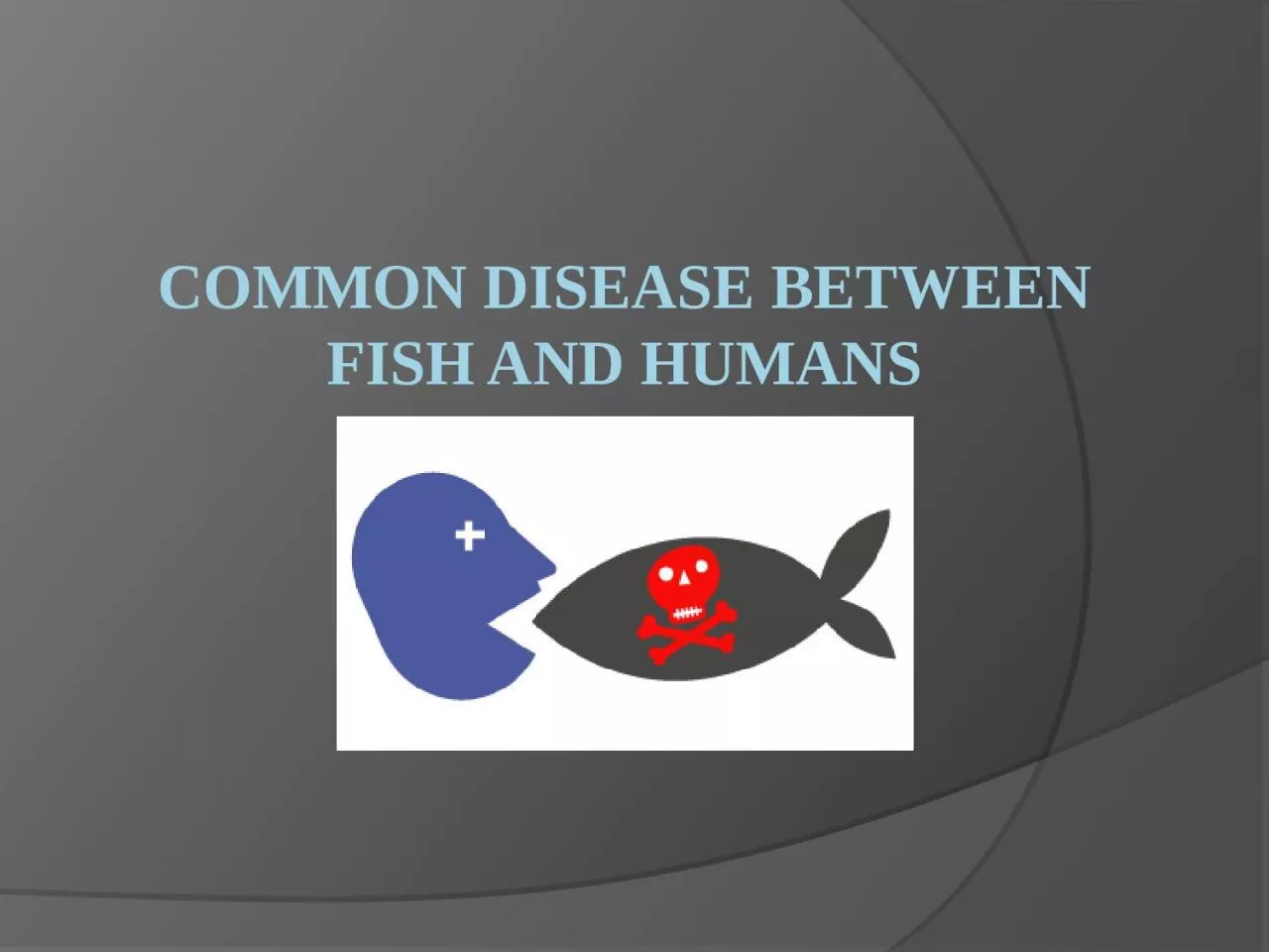 PPT-Common disease between fish and humans