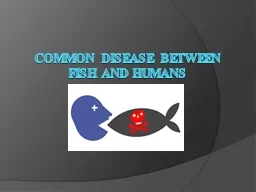 Common disease between fish and humans