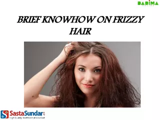 BRIEF KNOWHOW ON FRIZZY