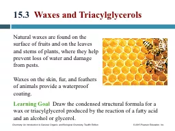 15.3   Waxes and  Triacylglycerols