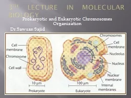 3 th  lecture in molecular biology