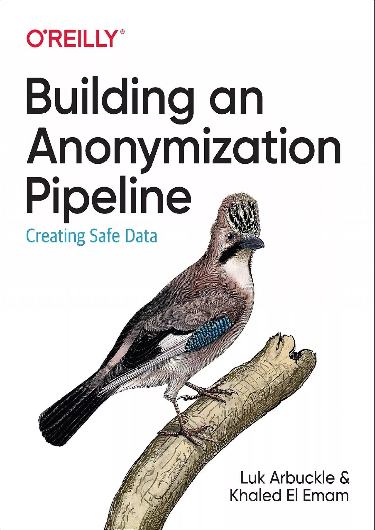 PDF-(READ)-Building an Anonymization Pipeline: Creating Safe Data