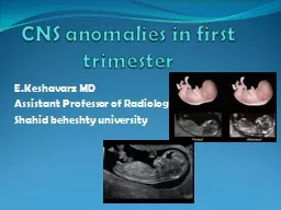 CNS anomalies in first trimester