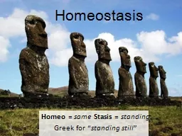 Homeostasis Homeo  =  same