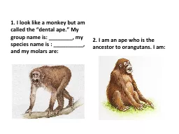 1. I look like a monkey but am called the “dental ape.” My group name is: ________,