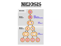 MEIOSIS Q2 WK3 D2 Meiosis