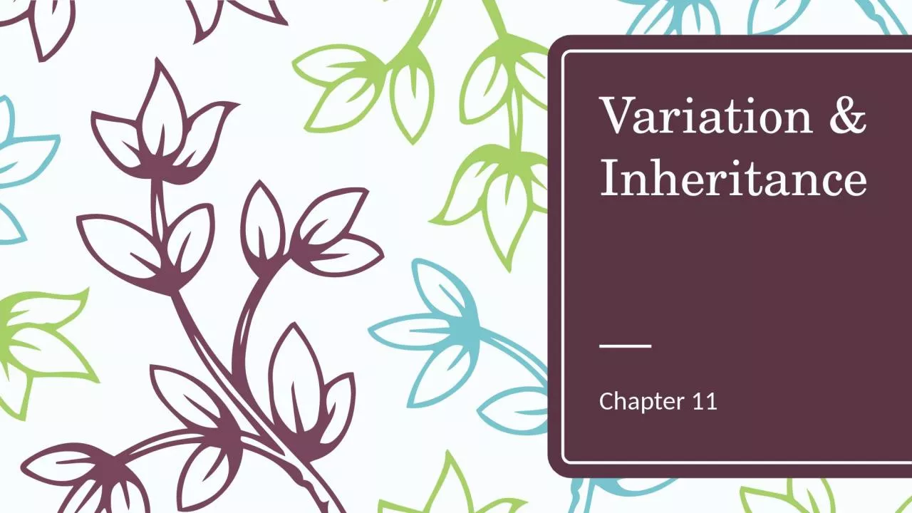 PPT-Variation & Inheritance