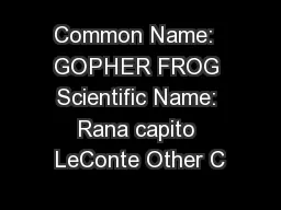 Common Name:  GOPHER FROG Scientific Name: Rana capito LeConte Other C