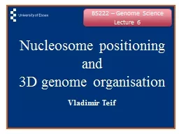 Nucleosome positioning and