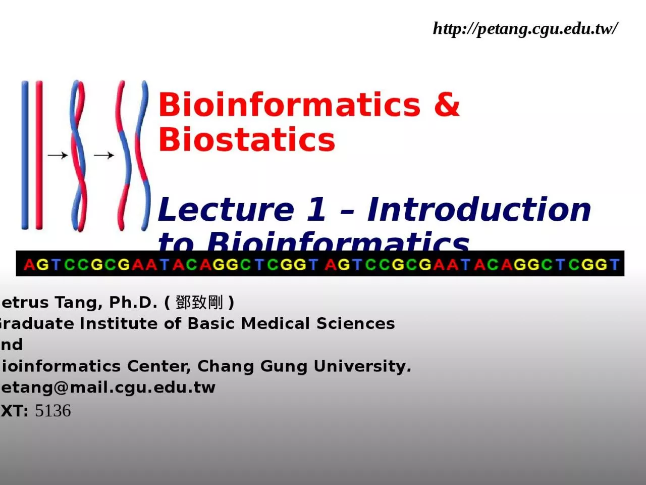 Bioinformatics & Biostatics