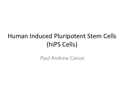 Human Induced Pluripotent Stem Cells