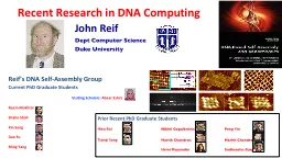 Recent Research in DNA Computing