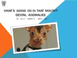 PPT-What’s going on in that mouth?