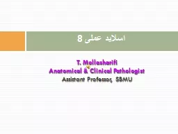 T.  Mollasharifi   Anatomical & Clinical Pathologist
