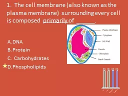 1.  The cell membrane (also known as the plasma membrane)  surrounding every cell is composed