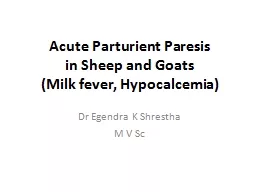 Acute  Parturient  Paresis in Sheep and Goats