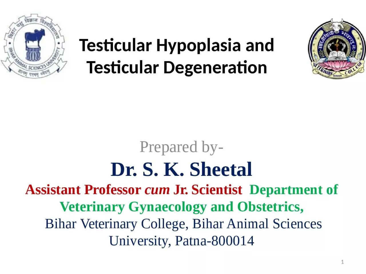 Testicular  Hypoplasia  and Testicular Degeneration