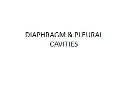 DIAPHRAGM & PLEURAL CAVITIES