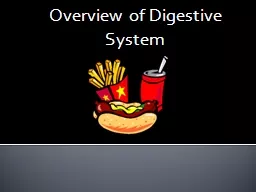 Overview of Digestive System