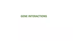 GENE INTERACTIONS ¾ A  (AA, Aa)