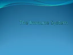 The Immune System Function