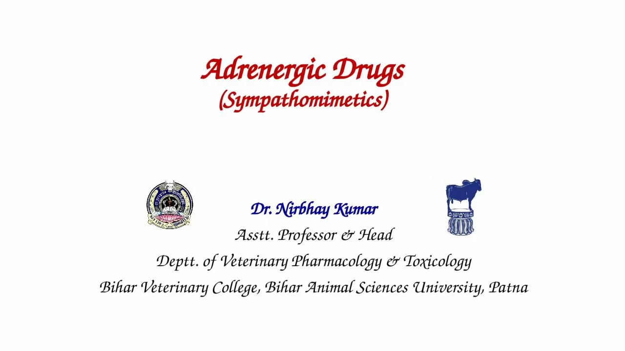 Adrenergic Drugs ( Sympathomimetics