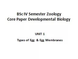 BSc IV Semester Zoology Core Paper Developmental Biology