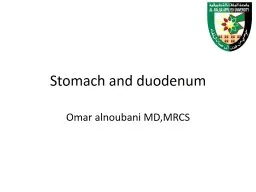Stomach and duodenum Omar