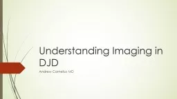 Understanding Imaging in