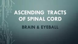 Ascending  tracts  of spinal cord