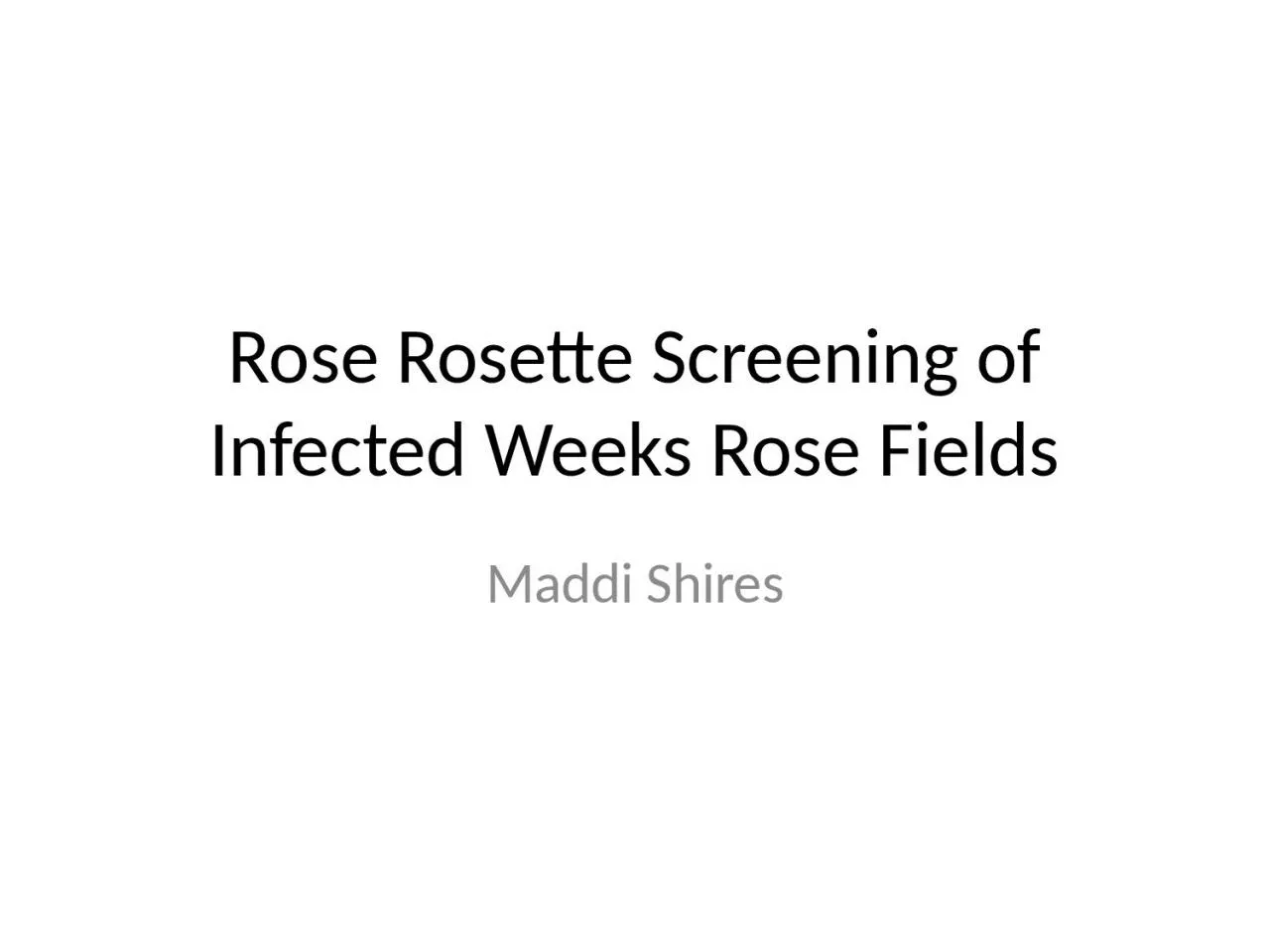 PPT-Rose Rosette Screening of Infected Weeks Rose Fields