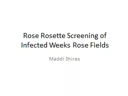 Rose Rosette Screening of Infected Weeks Rose Fields