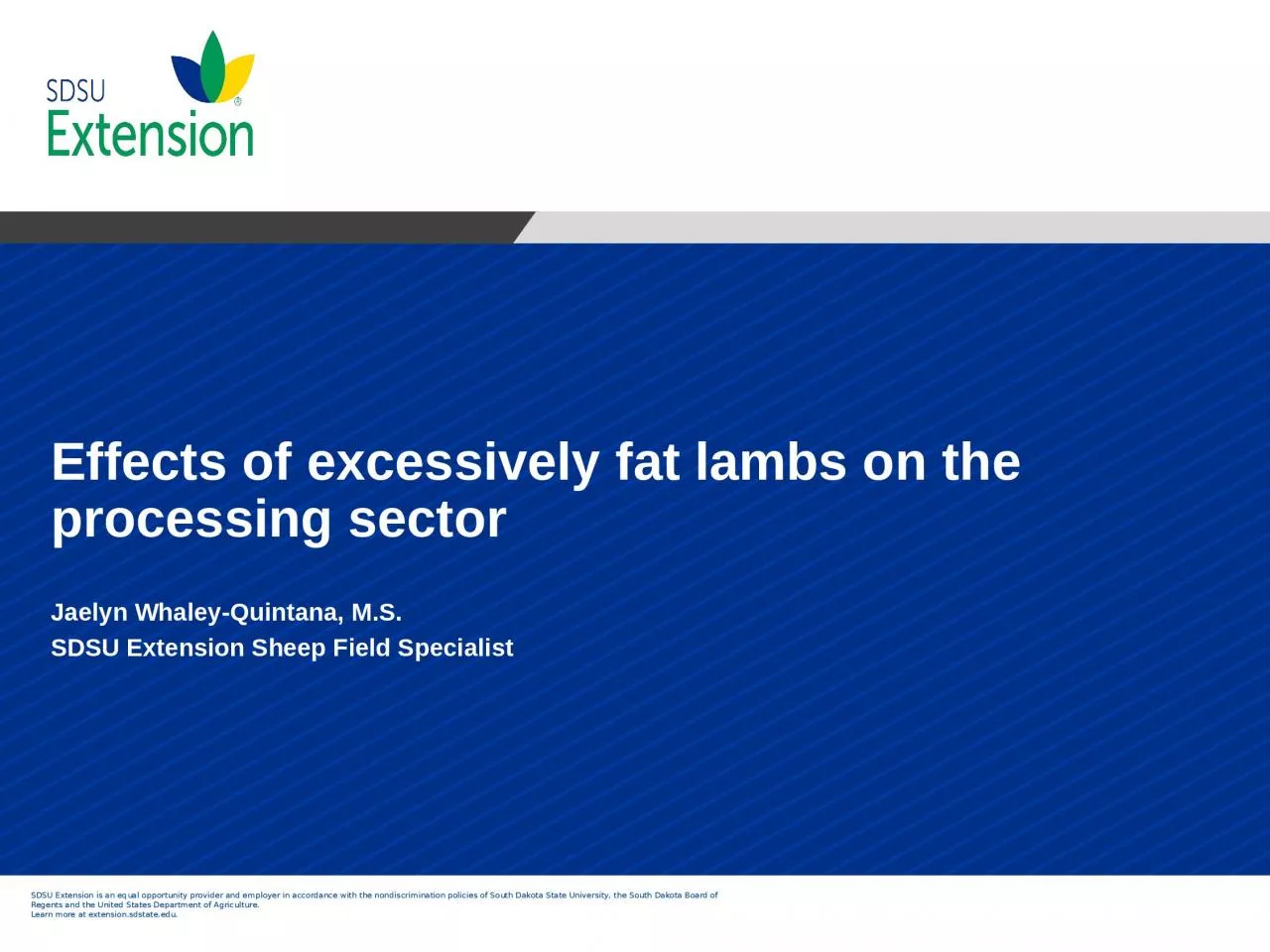 PPT-Effects of excessively fat lambs on the processing sector