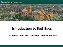 Introduction to Bed Bugs